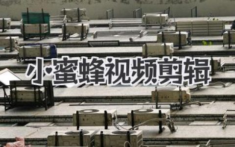 小蜜蜂视频剪辑