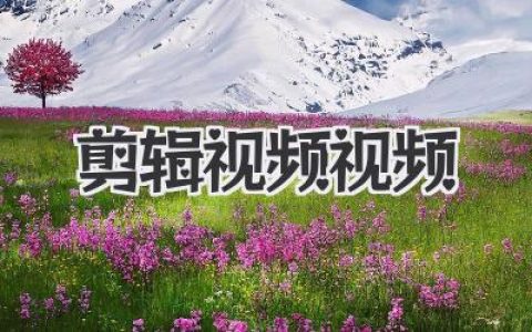 剪辑视频视频