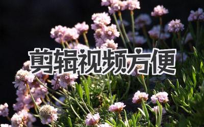 剪辑视频方便