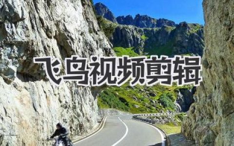 飞鸟视频剪辑