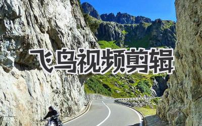 飞鸟视频剪辑