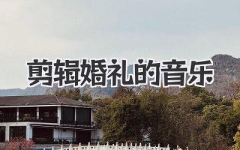 剪辑婚礼的音乐