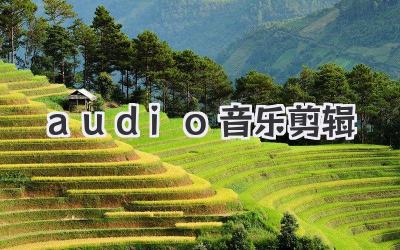 audio音乐剪辑