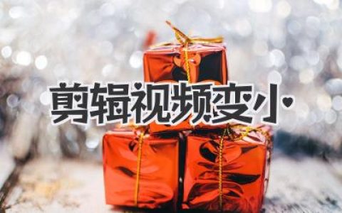 剪辑视频变小