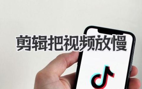 剪辑把视频放慢