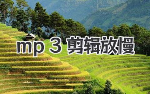 MP3剪辑放慢全攻略：让你的音乐慢下来，惊艳全场！