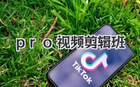 告别剪辑小白，Pro视频剪辑班带你飞（内含独家秘笈）