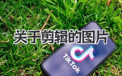 关于剪辑的图片