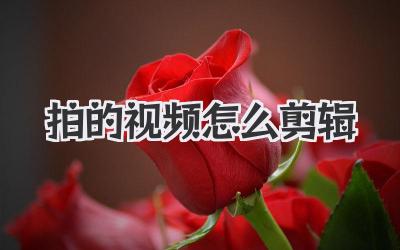 拍的视频怎么剪辑