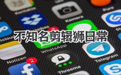 不知名剪辑狮日常