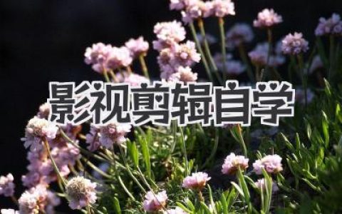 影视剪辑自学