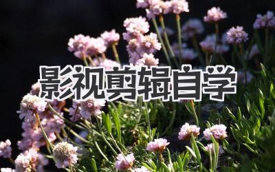影视剪辑自学