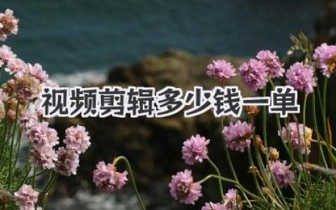 视频剪辑多少钱一单