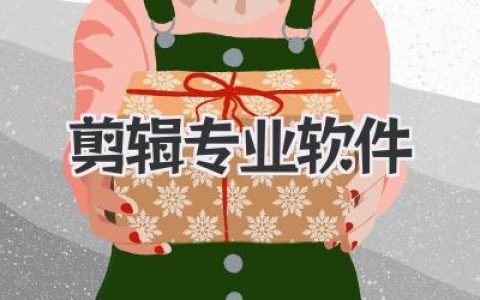 剪辑专业软件