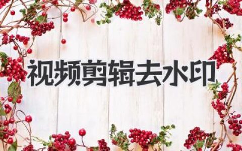 视频剪辑去水印