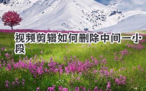 视频剪辑如何删除中间一小段
