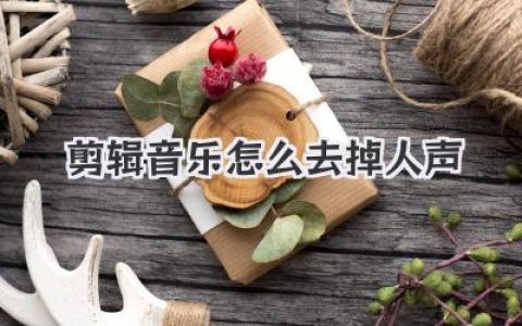 剪辑音乐怎么去掉人声