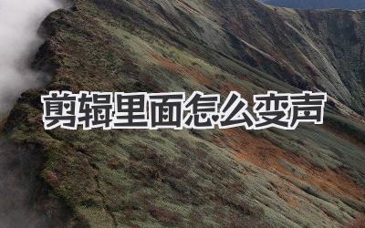 剪辑里面怎么变声
