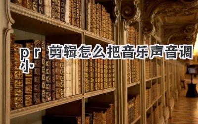 pr剪辑怎么把音乐声音调小