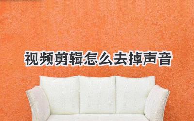 视频剪辑怎么去掉声音
