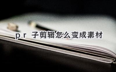 pr子剪辑怎么变成素材