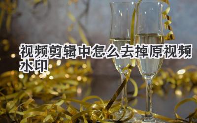 视频剪辑中怎么去掉原视频水印