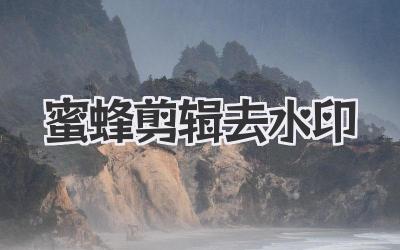 蜜蜂剪辑去水印