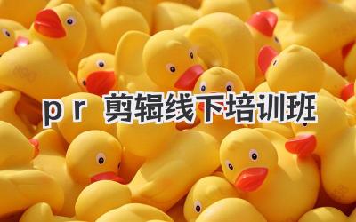 pr剪辑线下培训班