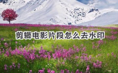 剪辑电影片段怎么去水印