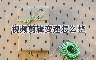 视频剪辑变速怎么整
