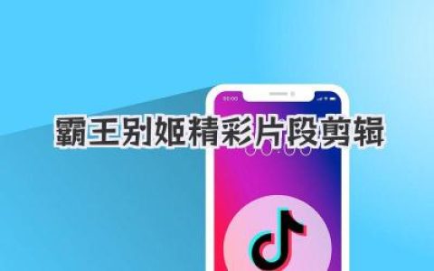 霸王别姬精彩片段剪辑