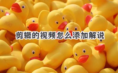 剪辑的视频怎么添加解说