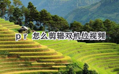 pr怎么剪辑双机位视频