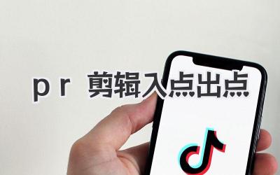 pr剪辑入点出点