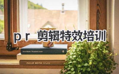 pr剪辑特效培训