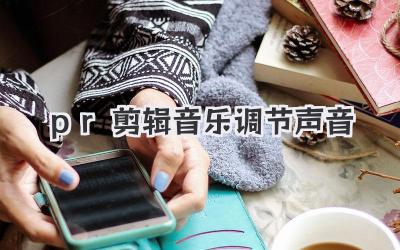 pr剪辑音乐调节声音