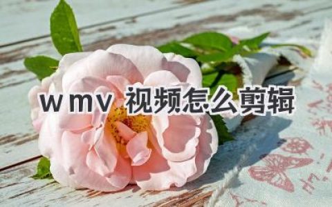 wmv视频怎么剪辑