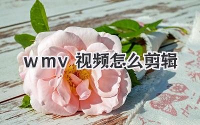 wmv视频怎么剪辑