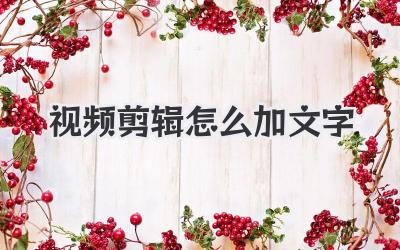 视频剪辑怎么加文字