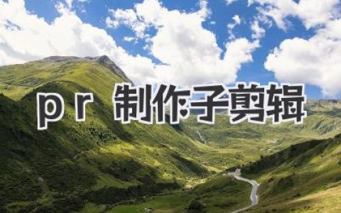告别大海捞针！用《pr制作子剪辑》让你的剪辑效率飙上天！