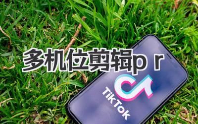 多机位剪辑pr