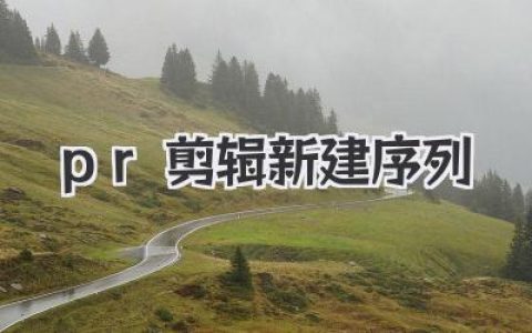 pr剪辑新建序列