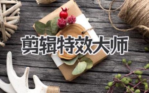 剪辑特效大师