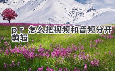 pr怎么把视频和音频分开剪辑