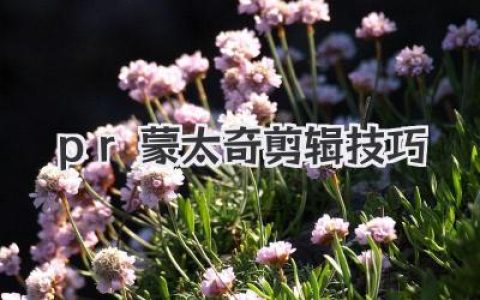 pr蒙太奇剪辑技巧