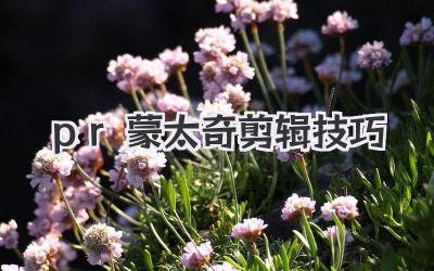 pr蒙太奇剪辑技巧