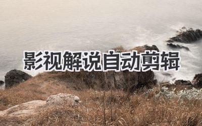 影视解说自动剪辑