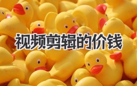 视频剪辑的价钱