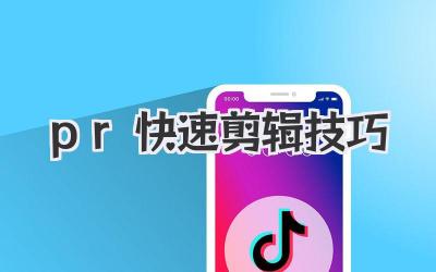pr快速剪辑技巧
