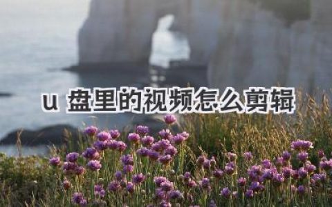 手把手教你：u盘里的视频怎么剪辑？性能问题大揭秘